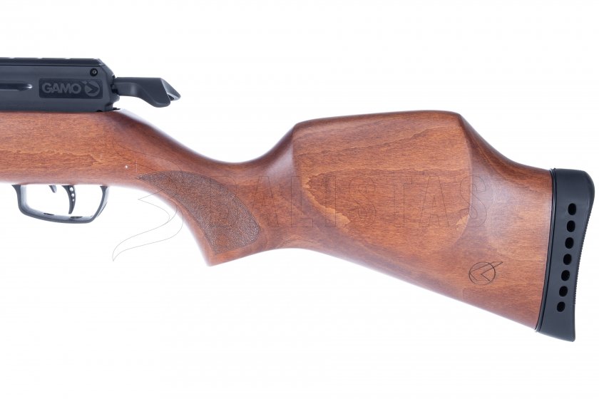 Carabina de aire comprimido Gamo Riser Punisher 4,5mm