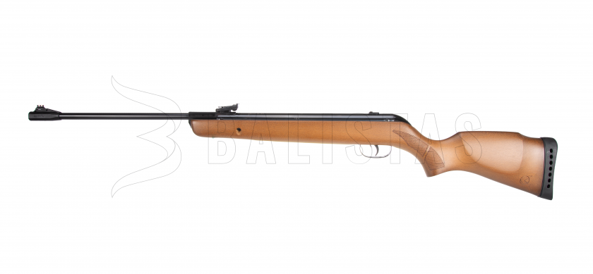 Carabina de aire comprimido Gamo Big Cat Hunter 4,5mm - 19J