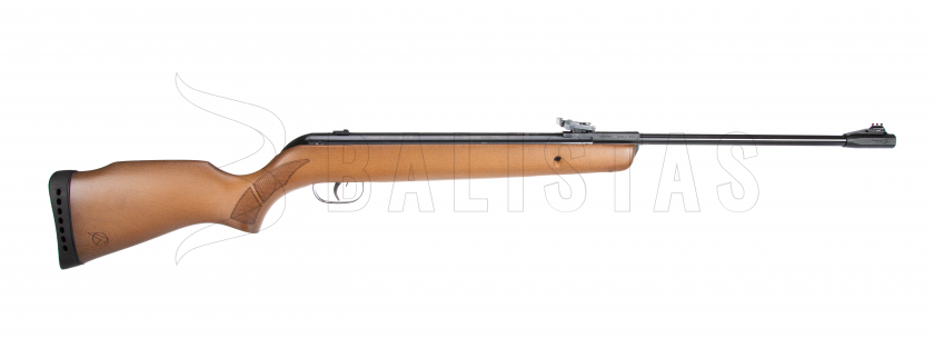 Carabina de aire comprimido Gamo Big Cat Hunter 5,5mm - 21J