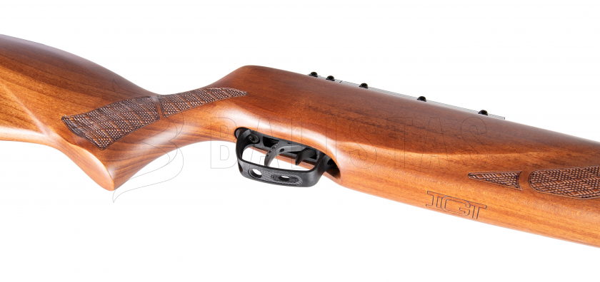 Carabina de aire comprimido Gamo Hunter 1250 Grizzly Pro IGT 4,5mm 26J