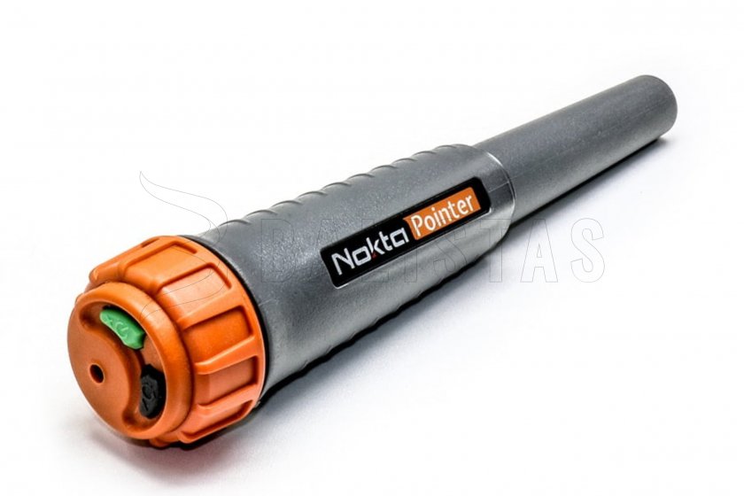 Nokta Pointer 01.jpg
