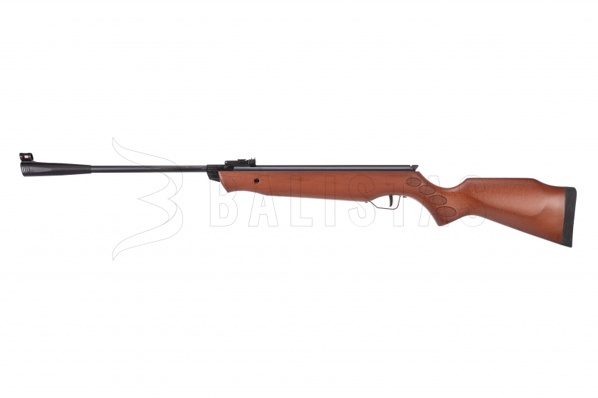 C300P450 (1).png