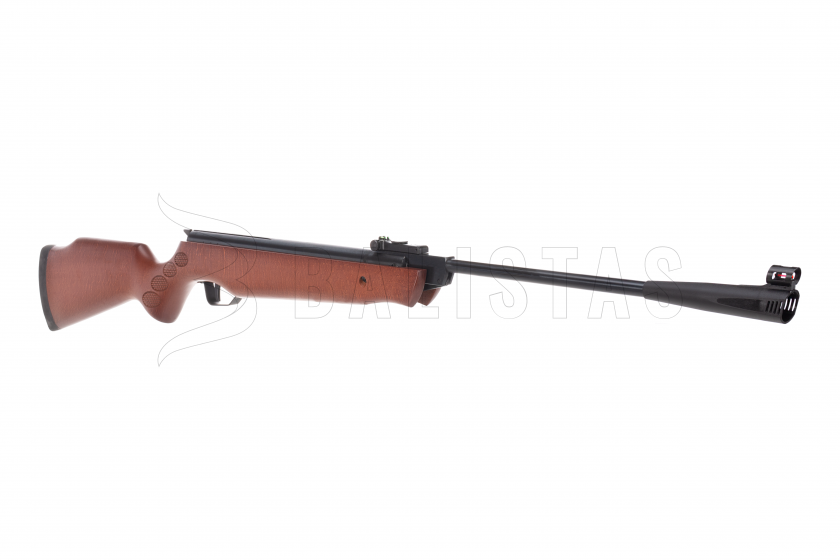 C300P450 (5).png