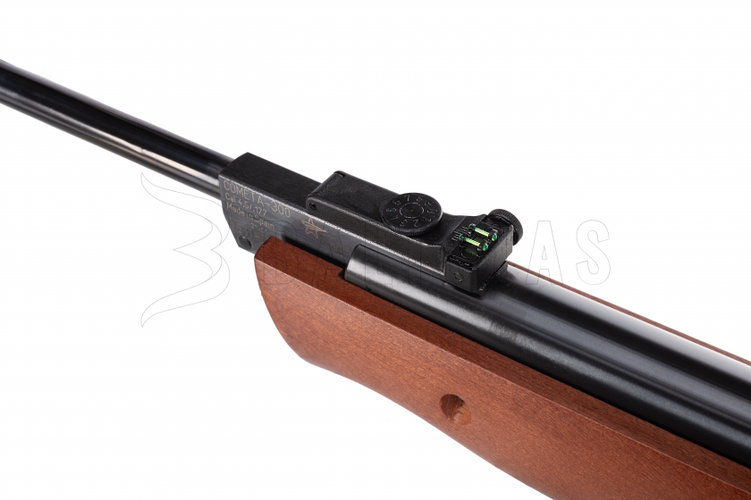 C300P450 (2).png