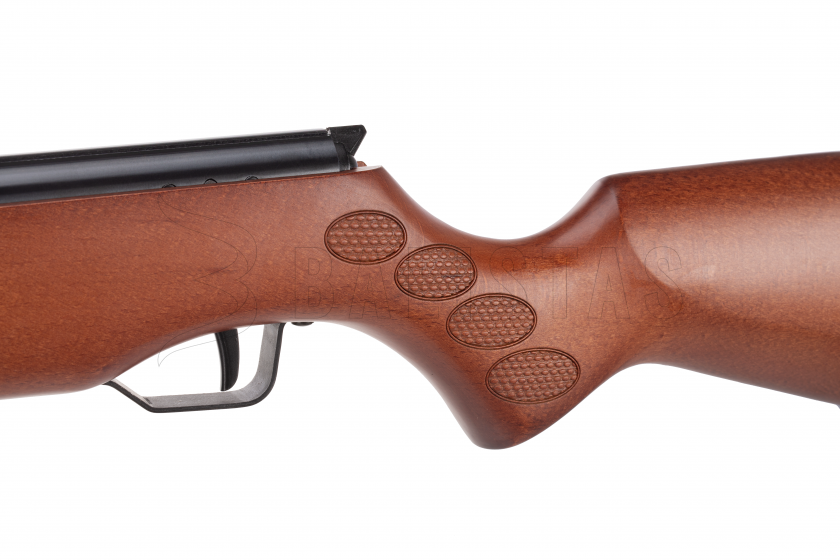 C300P450 (3).png