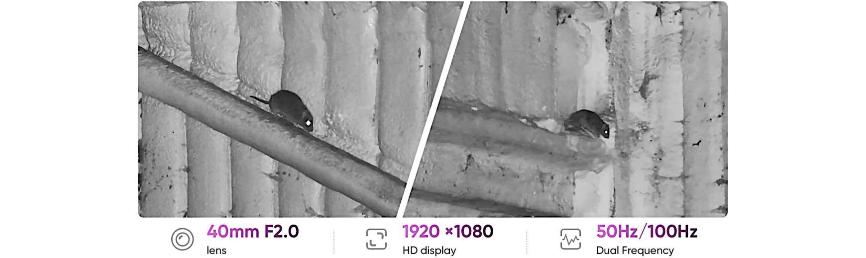 Hikmicro ALPEX 4K Lite text 1