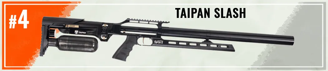 Top PCP 2025 4