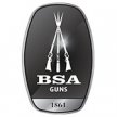 BSA